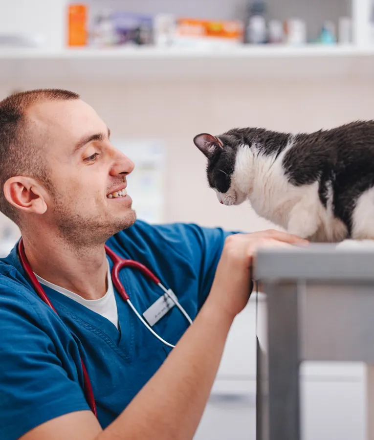 A smiling veterinarian in blue scrubs gently petting a black-and-white cat on an examination table in a veterinary clinic.